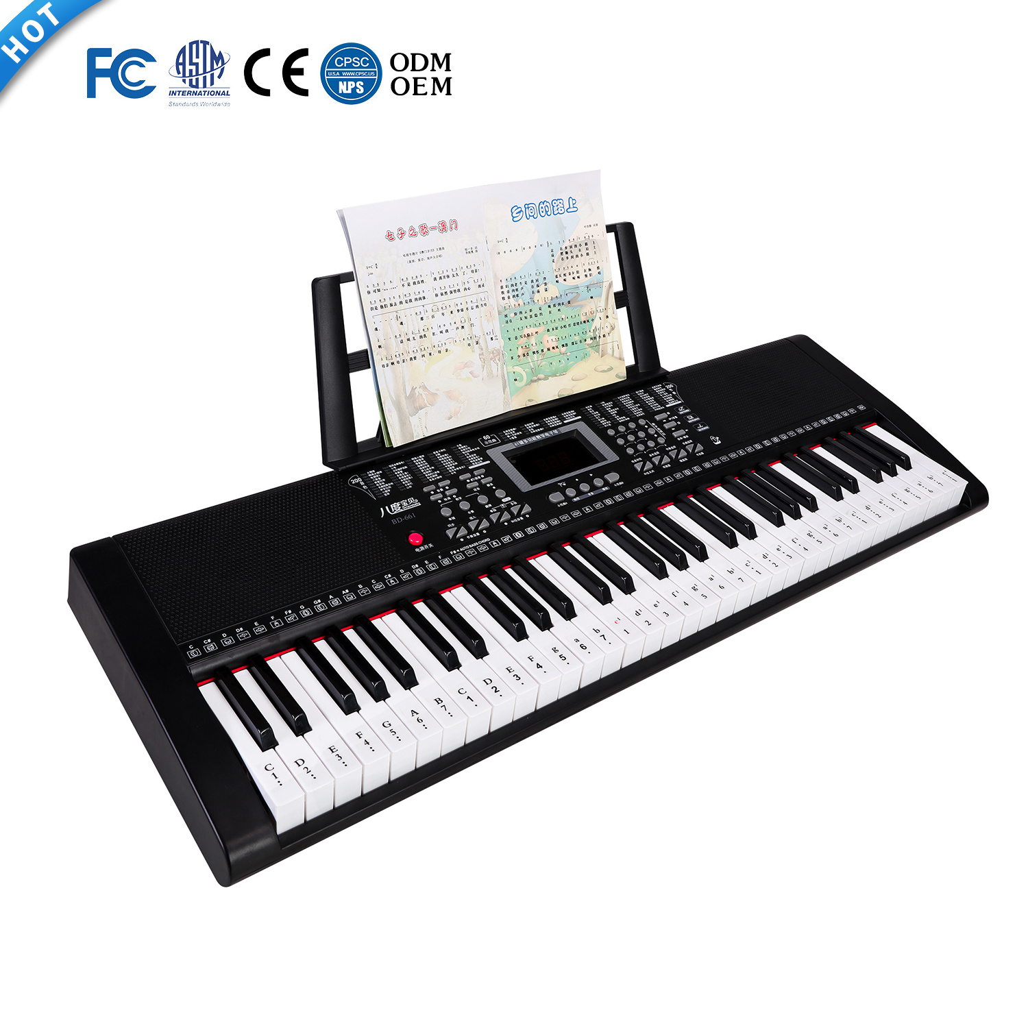 BD Music Large Size 61 Electronic Musical Organ Professional  Multi-function Digital Keyboard for Sale