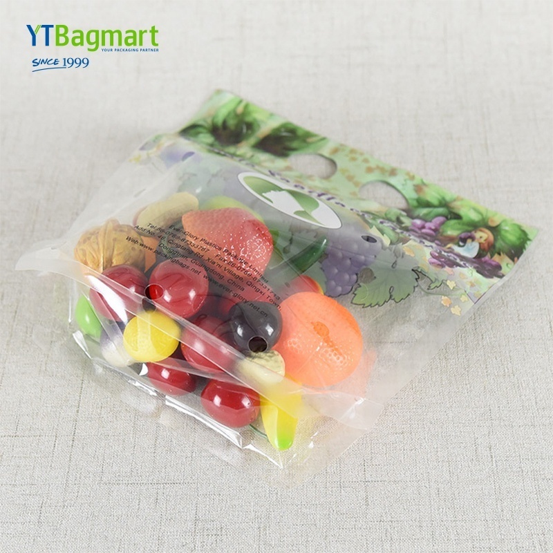 Factory Direct Sale Stand Up Zipper Anti Fog Plastic Packaging Bags For Fruit Vegetables Lettuce Salad