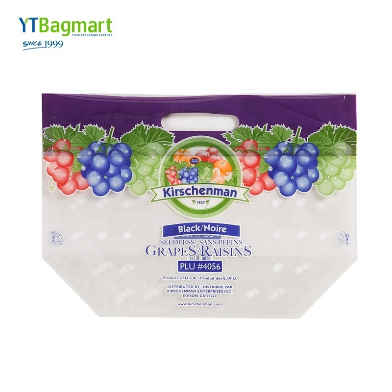 Factory Direct Sale Stand Up Zipper Anti Fog Plastic Packaging Bags For Fruit Vegetables Lettuce Salad