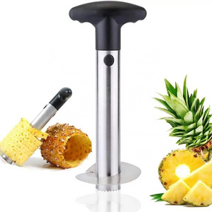 Stainless Steel Pineapple Slicer,Easy Kitchen Tool Fruit Pineapple Peeler Corer Slicer Cutter