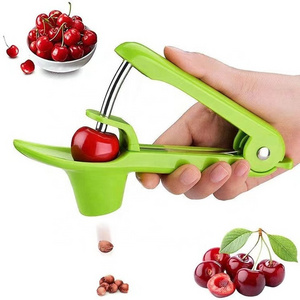 Wholesale Multi-Function Portable Kitchen Gadget Fruit Vegetable Core Olive Cherry Pitter Seeds Remover Tools