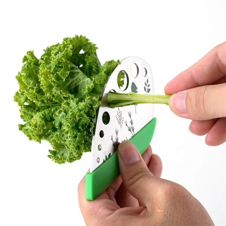 Stainless Steel Kitchen Herb Leaf Stripping Tool Loose Leaf Kale Razor Metal Herb Pealer Cutter 9 Holes Herb Stripper