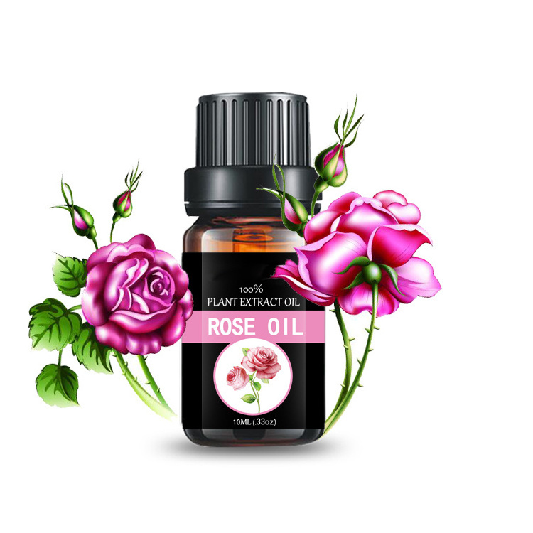 Best skin care whitening skin pure essential oil rose oil 10ml fragrance &  flavor