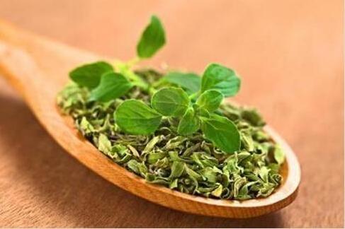 Natural plant extract organic oregano oil Bulk for Flavors and Fragrances