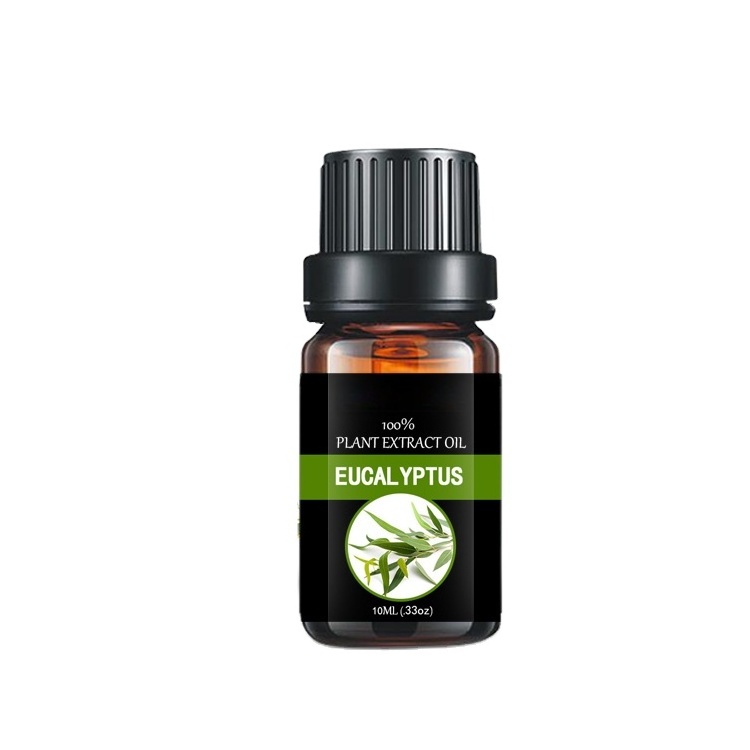 Flavor Fragrance gift sets Aromatherapy Essential Oil Bulk Eucalyptus / Peppermint /Tea Tree Essential Oil private label