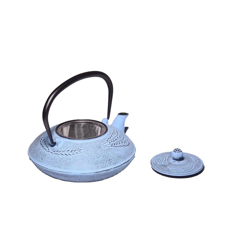 Cast Iron Teapot Japanese Iron Tea Pot Tea Kettle for Boiling Water Oolong Tea with Stainless Steel Kung Fu Infuser