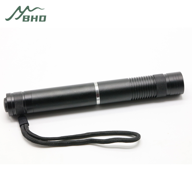 Small 1101 Flashlight 395nm Led Mini Portable Ultraviolet Torch Light UV Flashlight