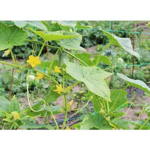 Trellis  Climbing Plants Supporting Net, Cucumber Net