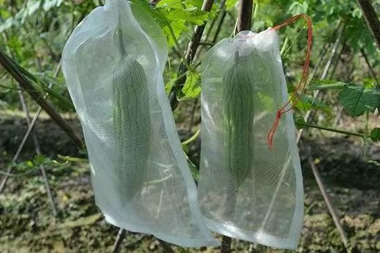 agricultural HDPE anti-insect net for greenhouse vegetables fruit protection insect bird net 20-80 mesh