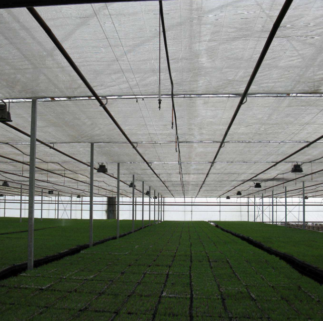 Best Quality Vegetable  Agricultural Cultivation Greenhouse Shade Net