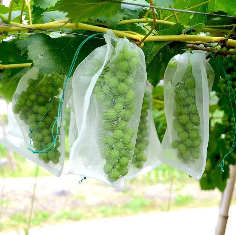 agricultural HDPE anti-insect net for greenhouse vegetables fruit protection insect bird net 20-80 mesh