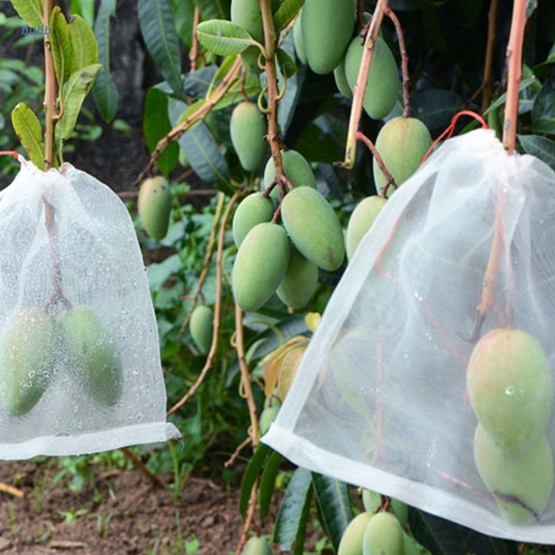 PP mesh leno bag roll for fruit vegetable fruit tree fly netting quality fruit tree covers zipper anti insect net bags