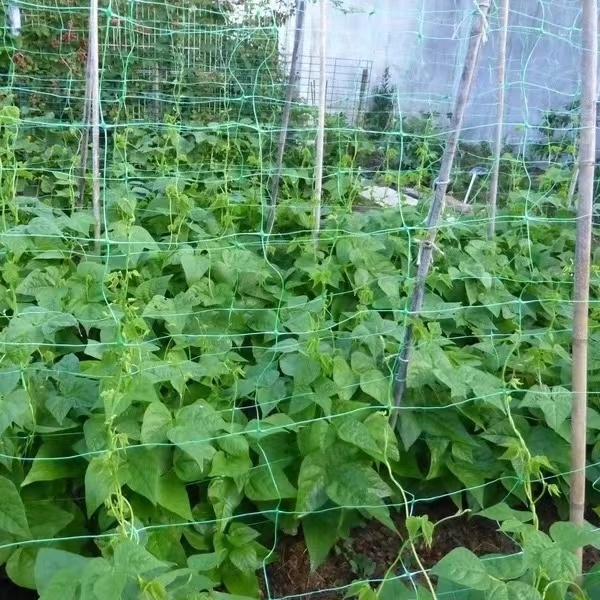 Trellis  Climbing Plants Supporting Net, Cucumber Net