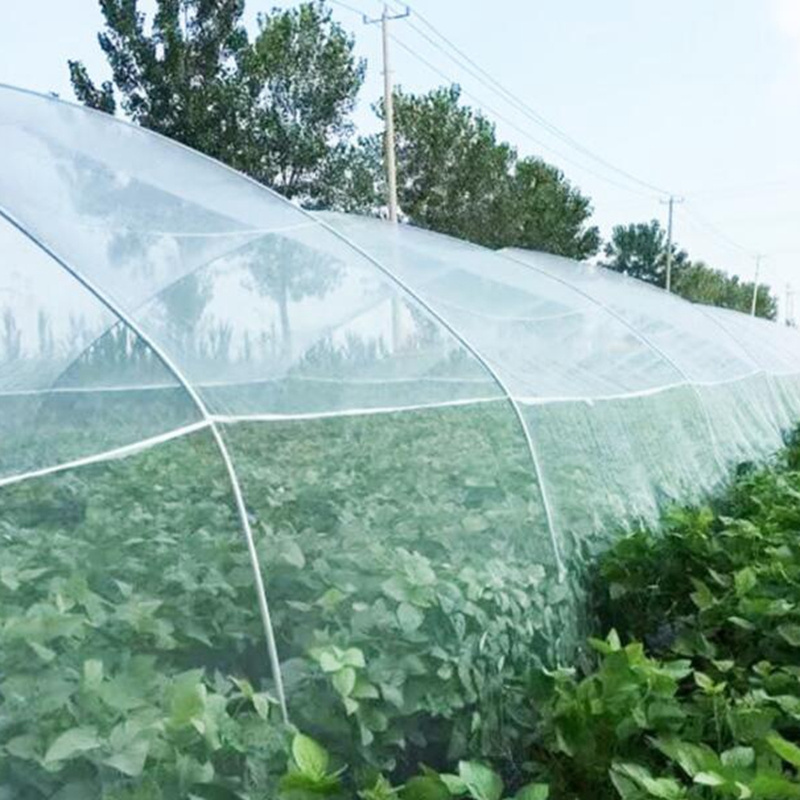 Fruit insect-proof net greenhouses orchard fruit mosquito net anti-mosquito insect net