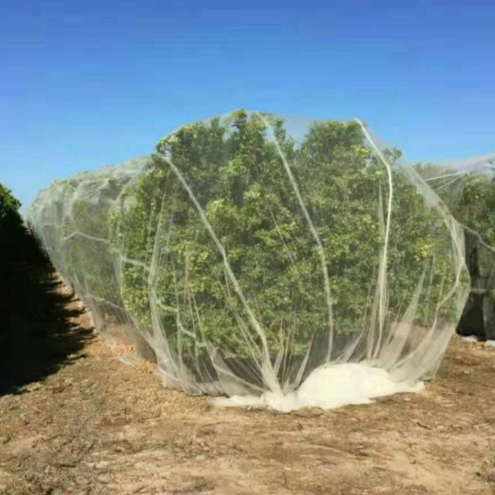 PP mesh leno bag roll for fruit vegetable fruit tree fly netting quality fruit tree covers zipper anti insect net bags