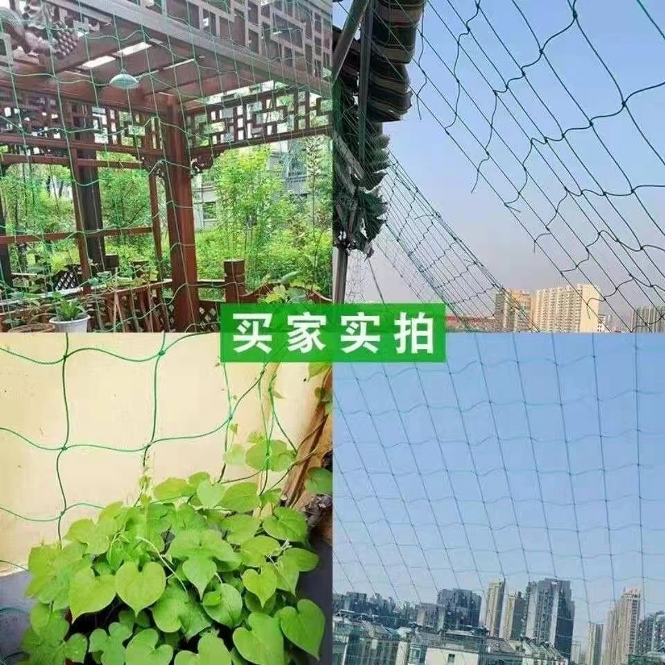 agricultural anti bird netting/Anti Bird Netting Plastic Extruded Catching Bird Net