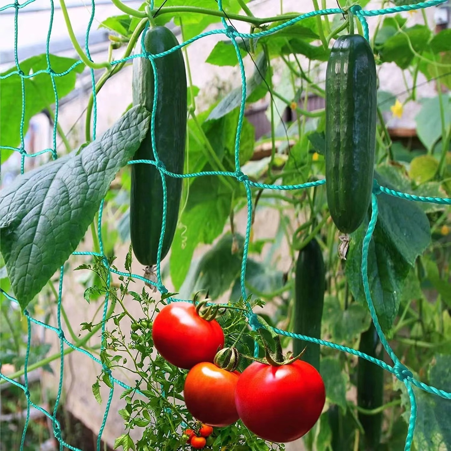 Trellis  Climbing Plants Supporting Net, Cucumber Net