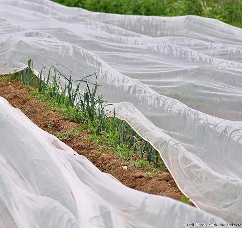 greenhouse vegetables fruit protection insect bird net 40mesh