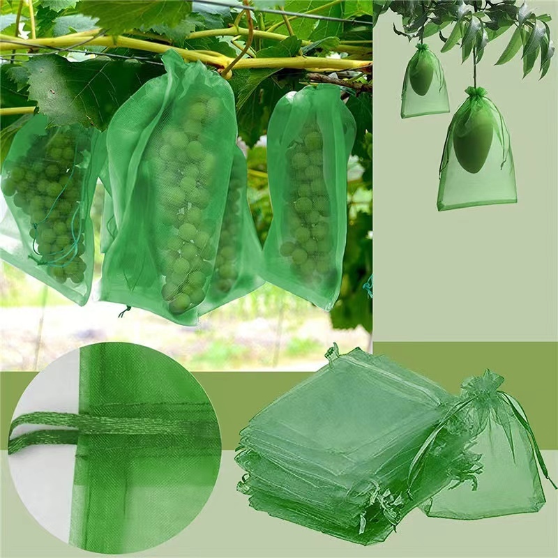 agricultural anti bird netting/Anti Bird Netting Plastic Extruded Catching Bird Net