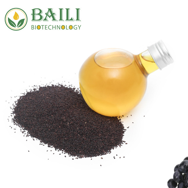 Healthcare supplement Wholesale Virgin Unrefined Carrier Oil Black Currant Seed Oil