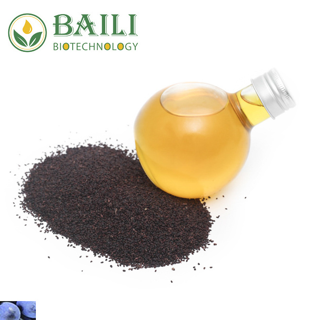 Essential Oil Plant Extract Oil Black Currant Seed Oil