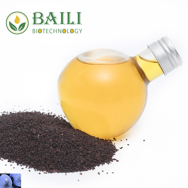 Essential Oil Plant Extract Oil Black Currant Seed Oil