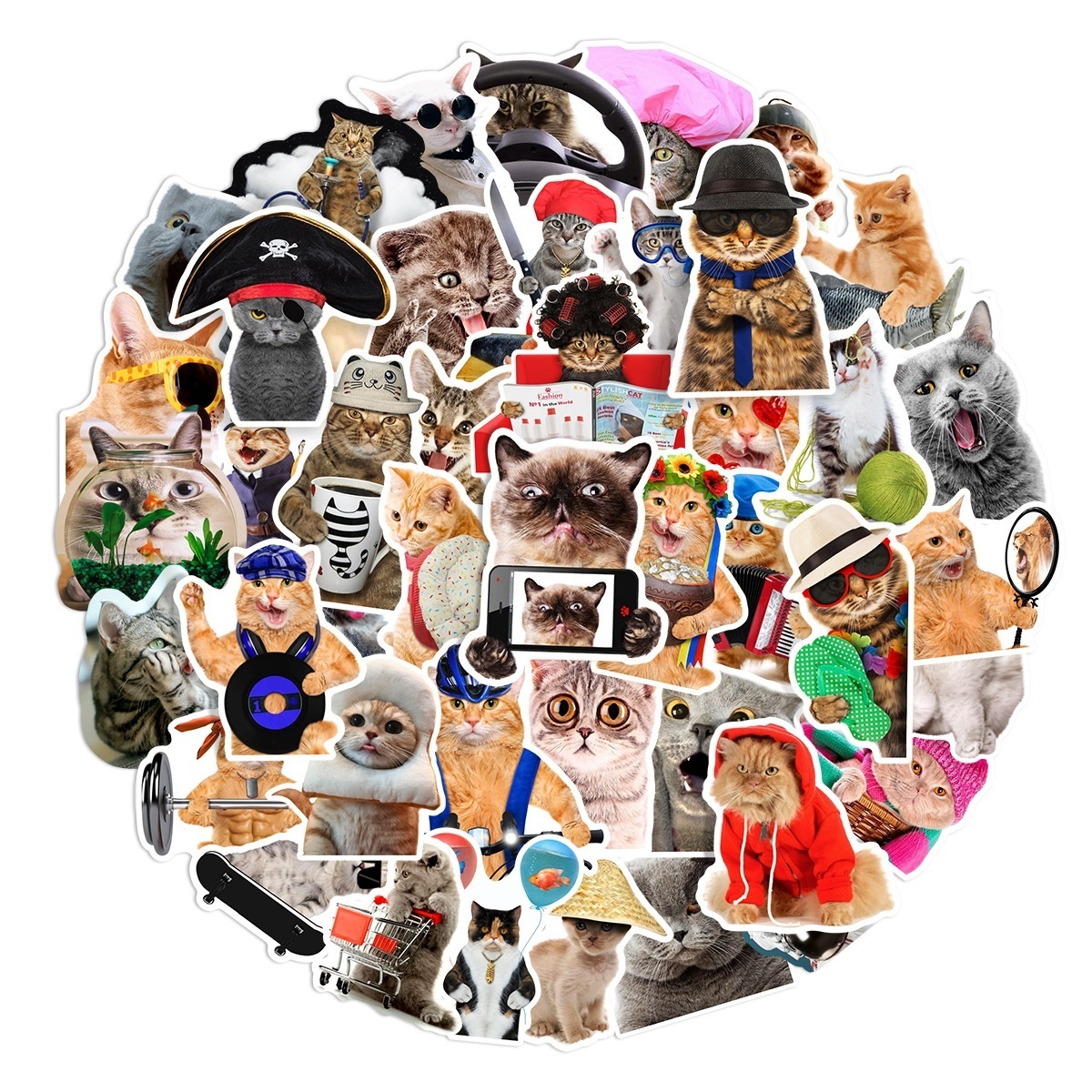 66Pcs Cute cat Internet Meme Stickers For Notebook Laptop Car Bike Wall Luggage Spoof Kitty Decor Sticker