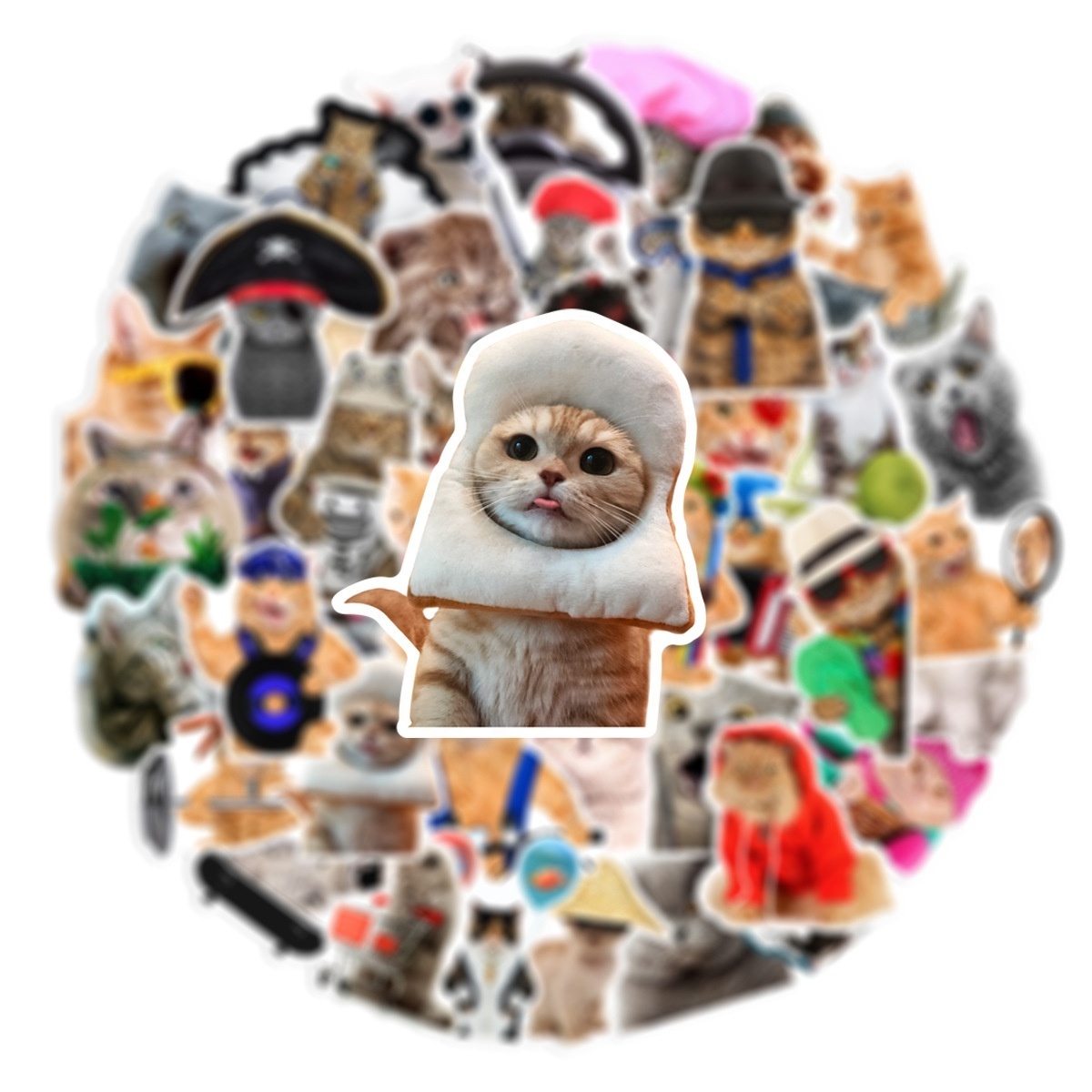 66Pcs Cute cat Internet Meme Stickers For Notebook Laptop Car Bike Wall Luggage Spoof Kitty Decor Sticker