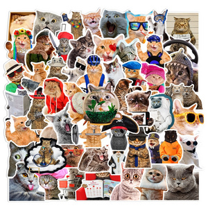 66Pcs Cute cat Internet Meme Stickers For Notebook Laptop Car Bike Wall Luggage Spoof Kitty Decor Sticker