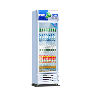 Commercial Vertical Beverage Refrigerators Showcase Display Fridge Freezer Cooler With Two Glass Door