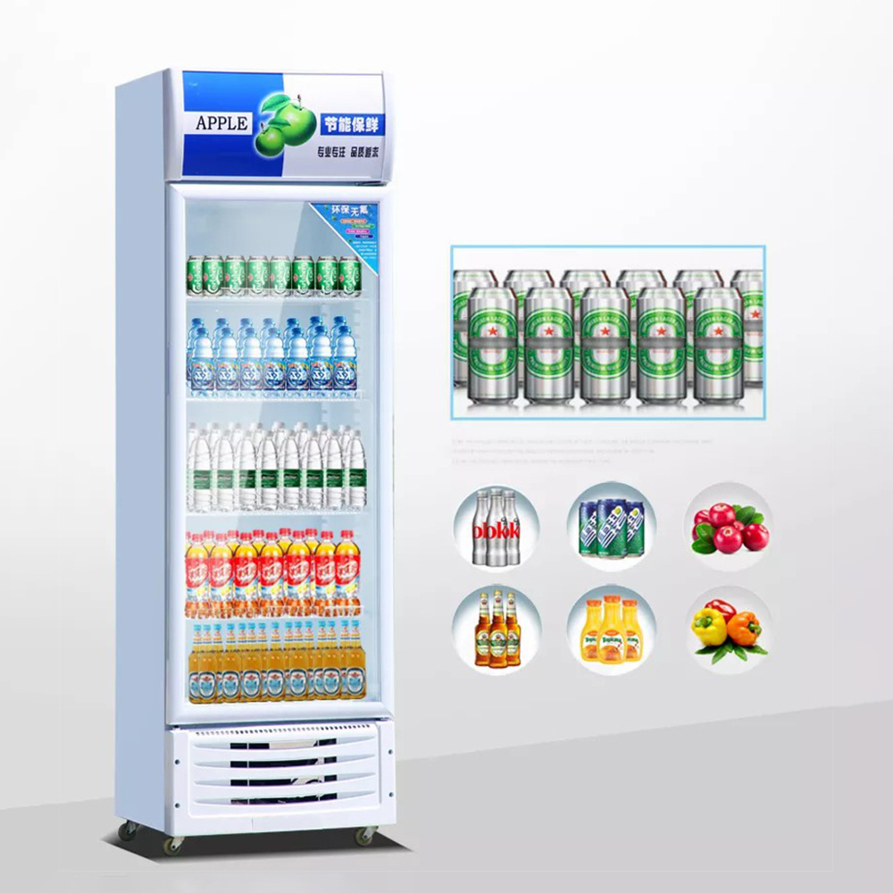 Commercial Vertical Beverage Refrigerators Showcase Display Fridge Freezer Cooler With Two Glass Door