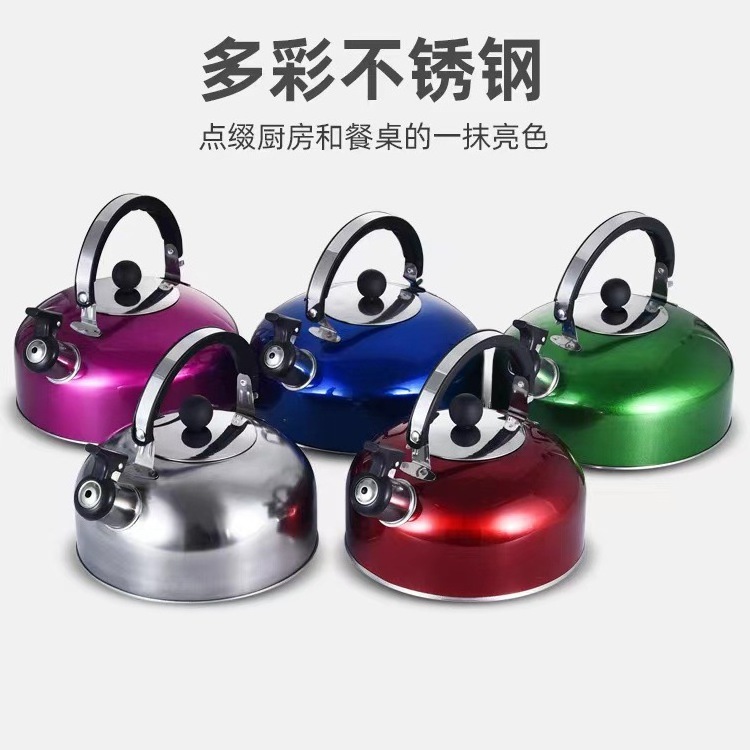 One Stop Shopping High quality stainless steel economic kettle 3/4/5L tea whistling kettle with color painting