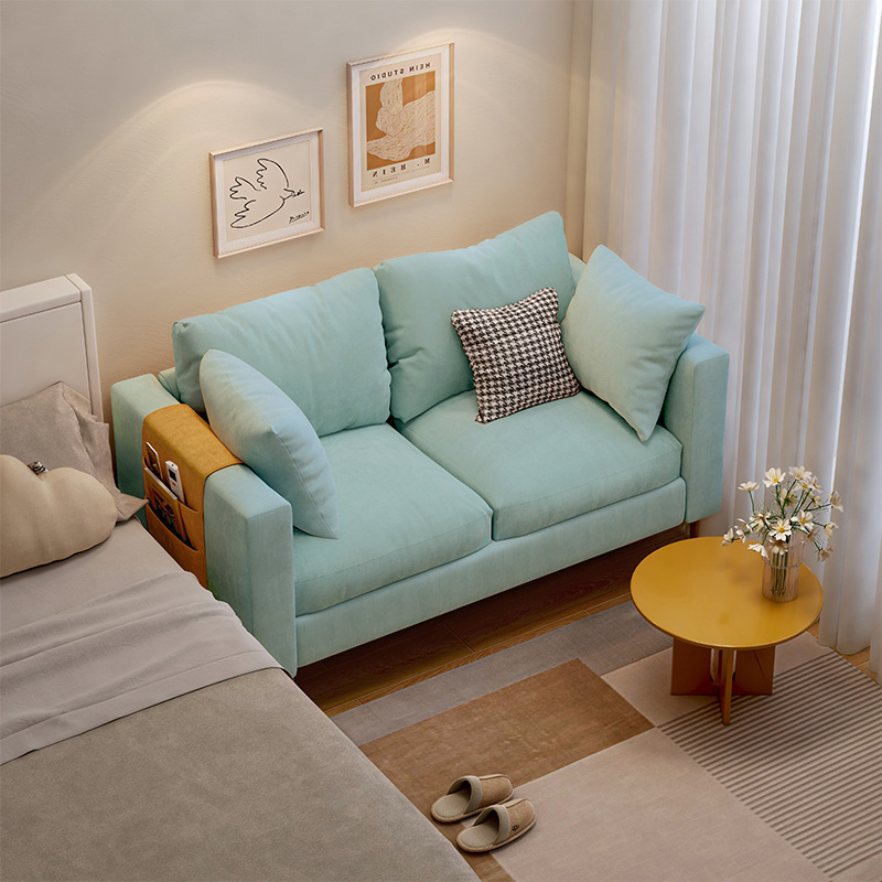 Apartment small sofa living room small apartment rental room fabric single murder INS wind bedroom double simple sofa