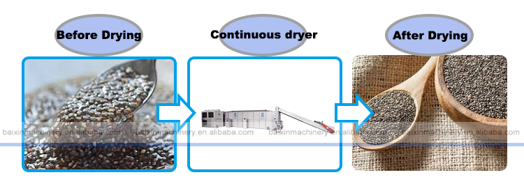 Aniseed Fennel Star Anise Uniform Dryer Chia Seeds Drying Machine