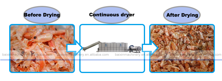 automatic belt shrimp shell drying machine