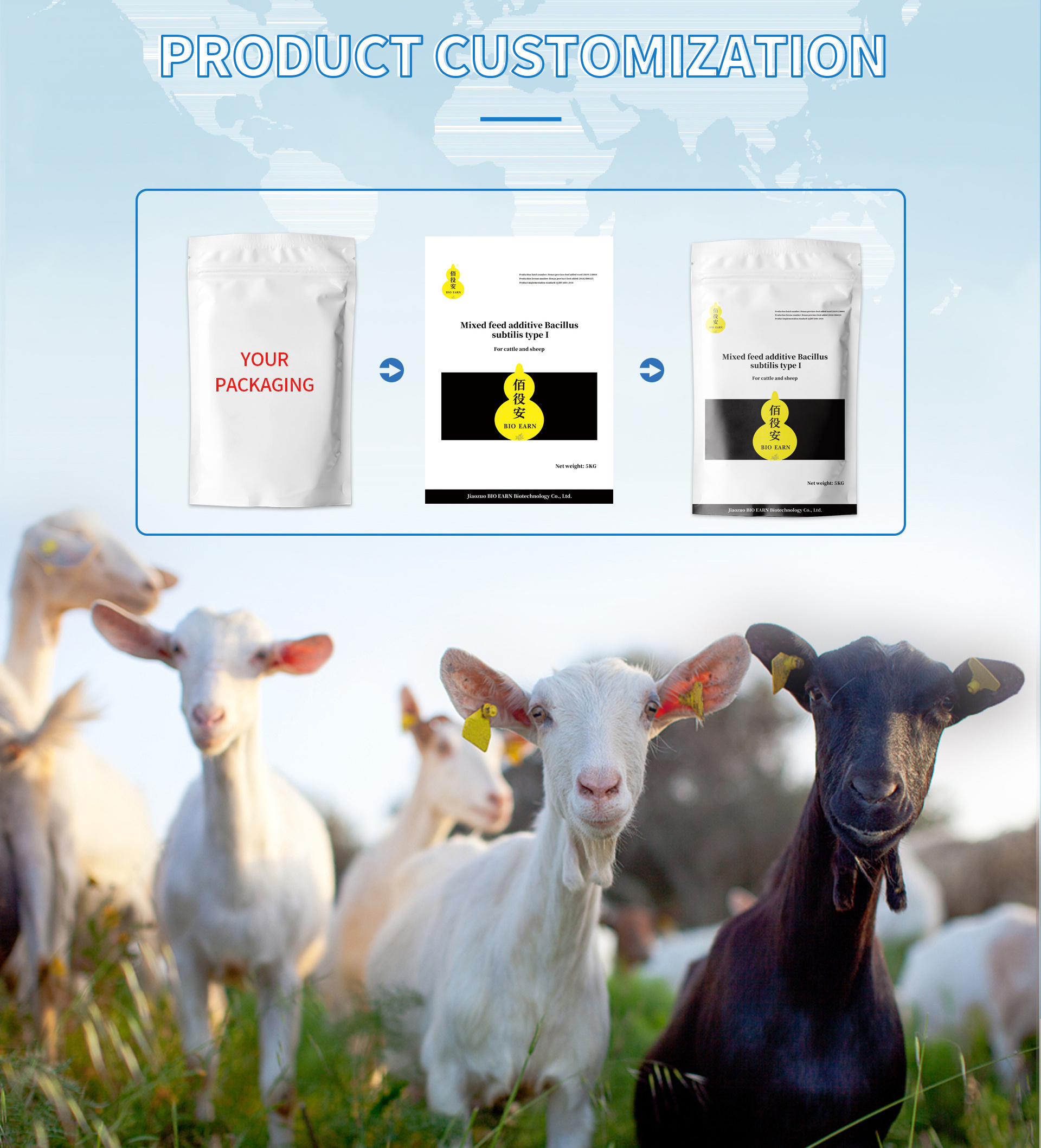 animal feed additives for cattle bovine cow sheep goat  horse