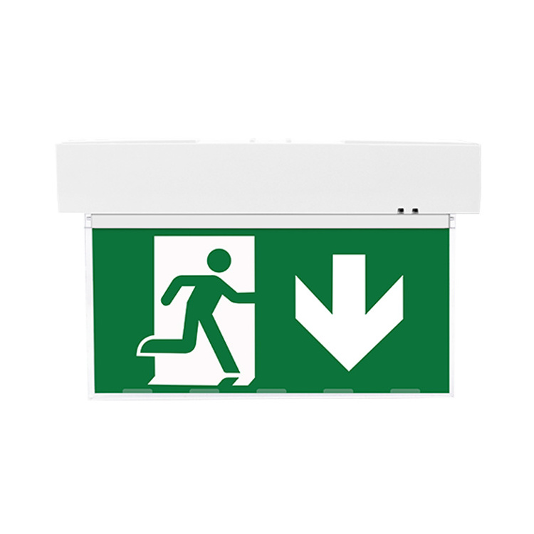 2W 3W 5W 6W 8W China Cheap Big Safety Illuminated Industrial Brass Fire Running Man LED Emergency Exit Light