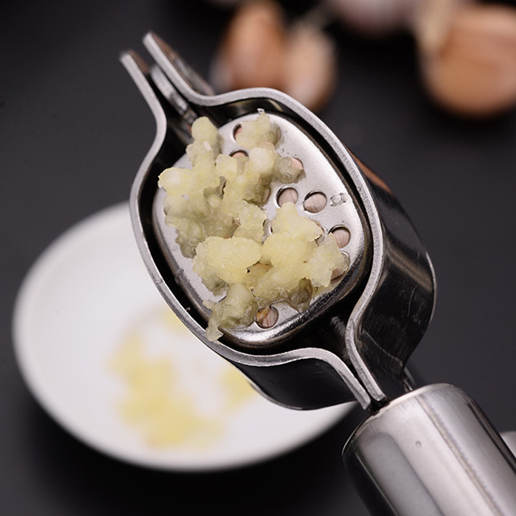 Wholesale Kitchen Accessories Stainless Steel Manual Garlic Press Choppper Tool