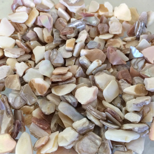 Classic Mother of Pearl - Terrazzo Aggregates Crushed mother of pearl sea shells