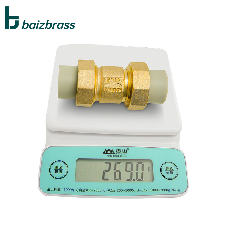 20mm  25mm Vertical  Brass  ppr check valve  Water Spring swing one way  Valve