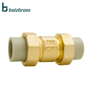 20mm  25mm Vertical  Brass  ppr check valve  Water Spring swing one way  Valve