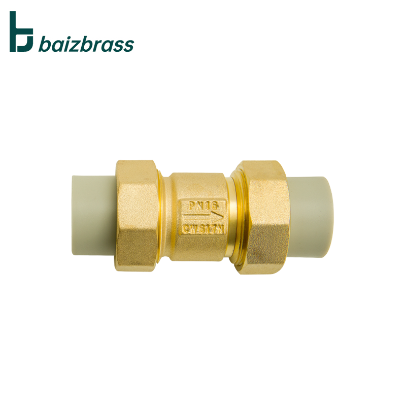 20mm  25mm Vertical  Brass  ppr check valve  Water Spring swing one way  Valve