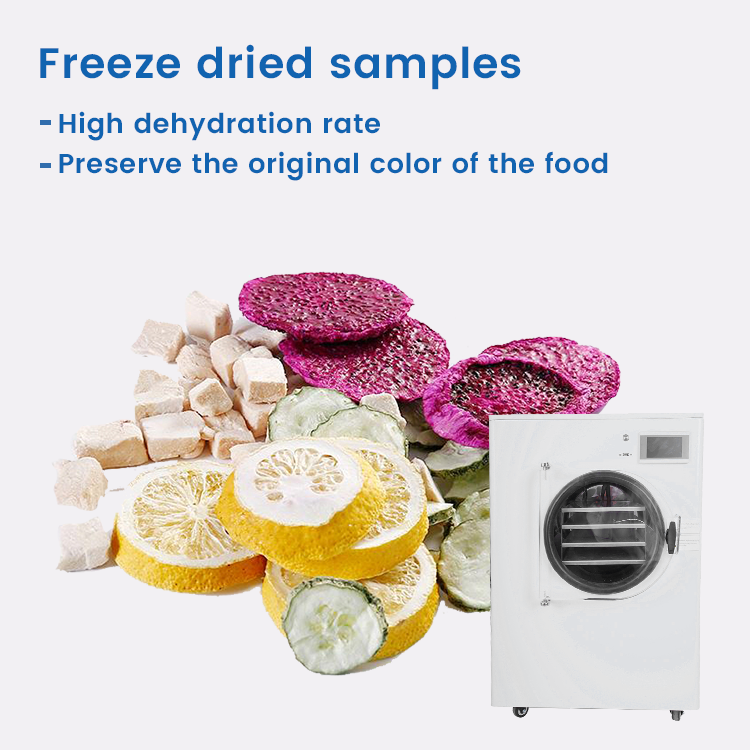 Small home harvest right freeze dryer vacuum freeze dryer machine freeze dryer machine for food