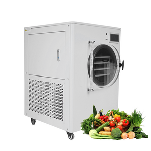 small freeze dryer home / harvest right freeze dryer / commercial freeze dryer