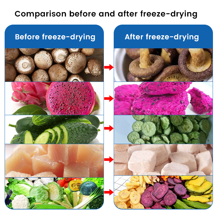 Small home harvest right freeze dryer vacuum freeze dryer machine freeze dryer machine for food