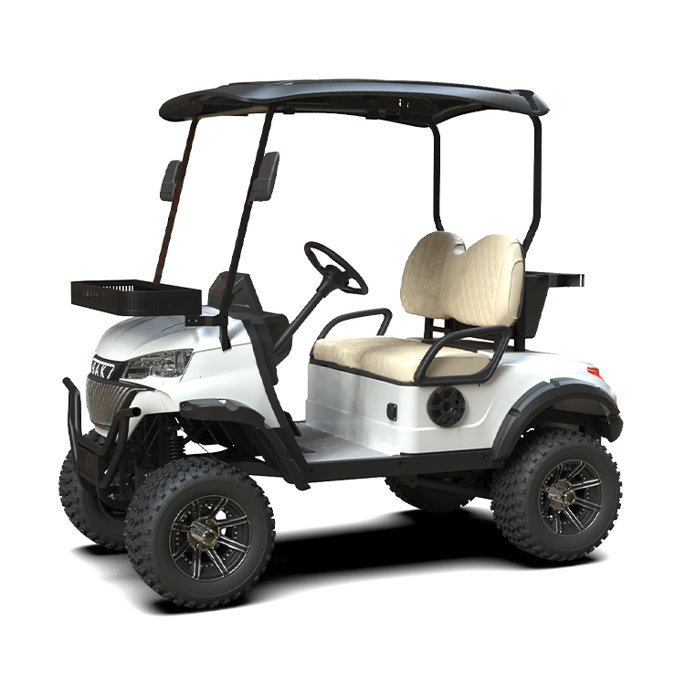 High Quality Mini Golf Car Two Seat Electric Golf Cart Hunting Golf Carts For Sale