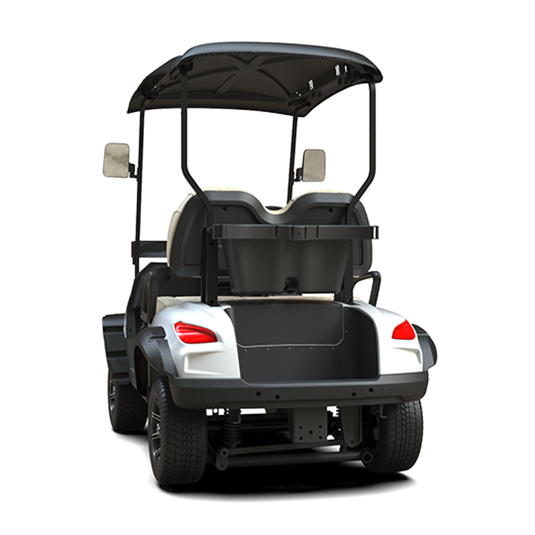 Custom ball washer Operated Electric Car Golf Carts