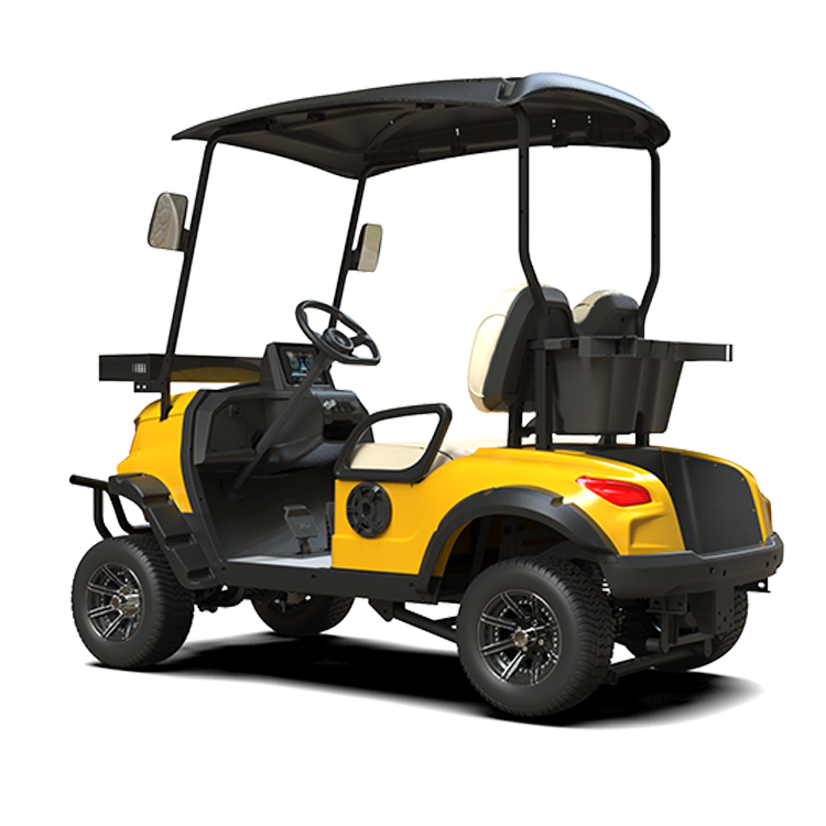 Customized ball washer and Battery Buggy Electric Golf Carts