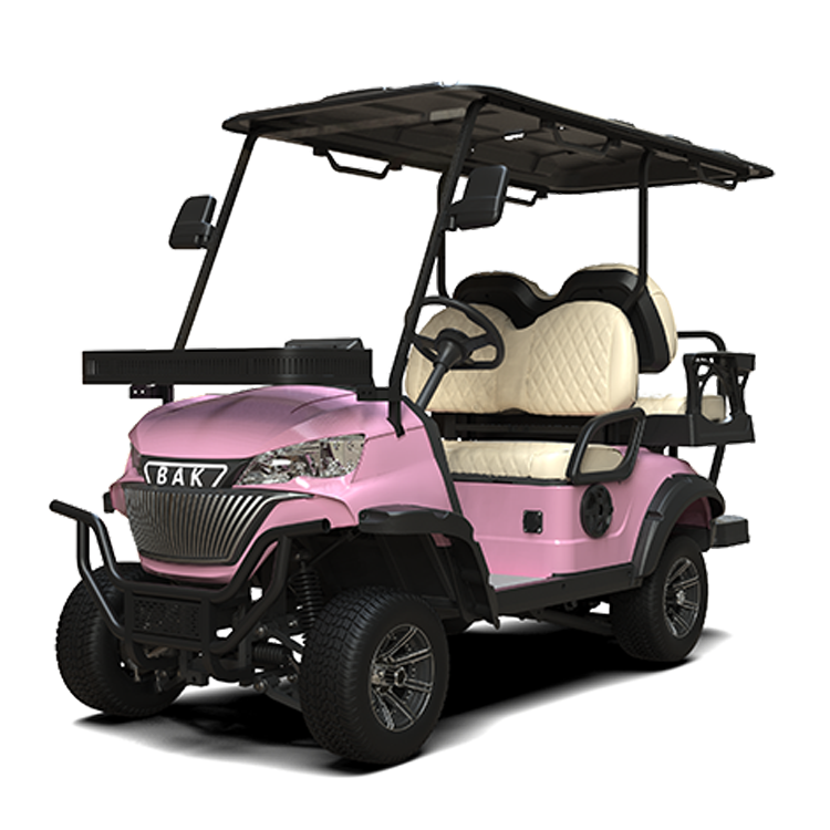 Pink Electric electric 2+2seats Golf Cart 4 Seats Electric Passenger Club Car Golf Carts Buggy