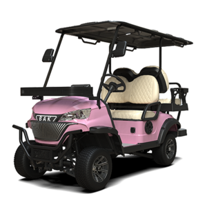 Pink Electric electric 2+2seats Golf Cart 4 Seats Electric Passenger Club Car Golf Carts Buggy